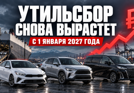 Автомобили у экспортного порта — иллюстрация к новости MYCAR об утильсборе 2027 года